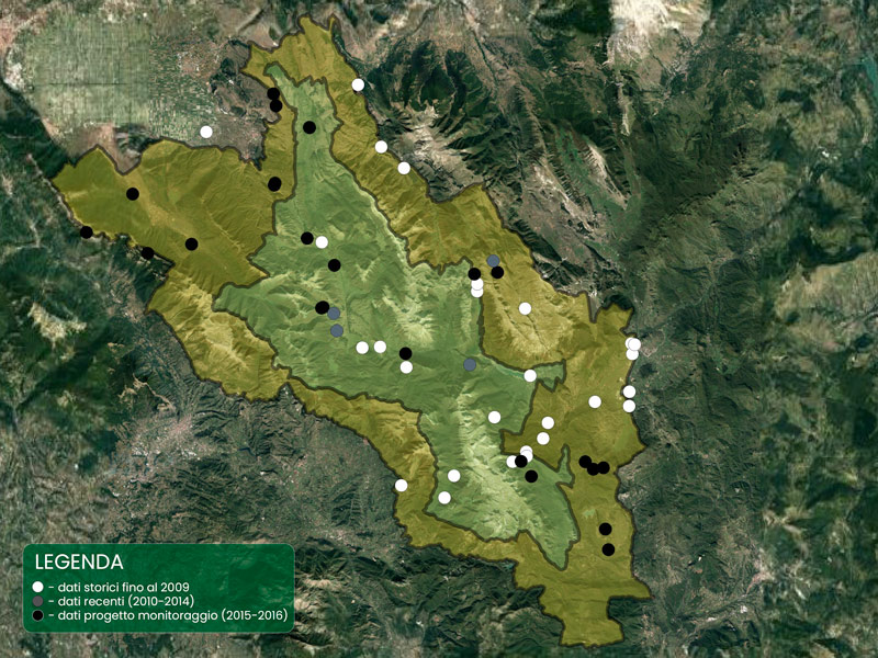 Tritone crestato italiano - Distribuzione e Presenza nel Parco