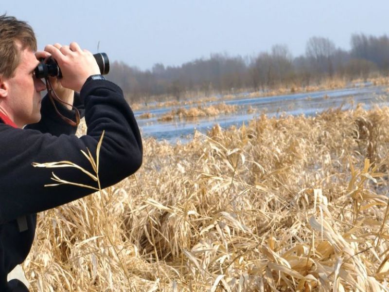 Birdwatching - speciale aree umide