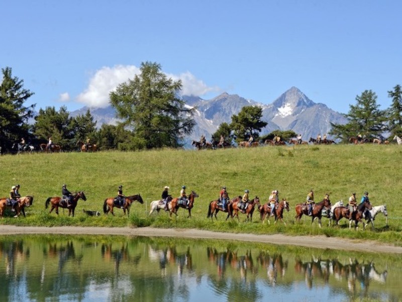 Esplorare le bellezze dei parchi a cavallo
