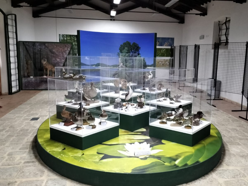Museo Naturalistico del Parco di Colfiorito