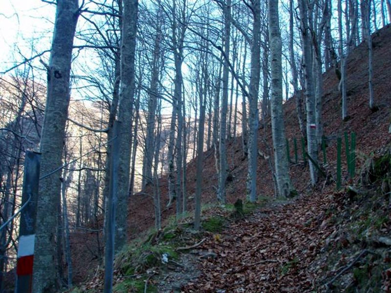 Rimale Trail