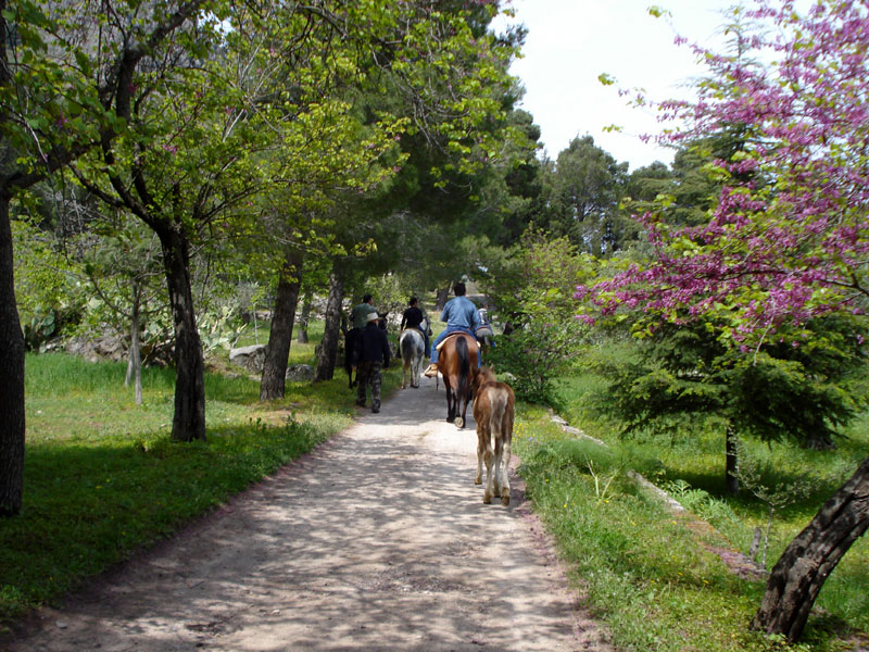 Trail on horseback