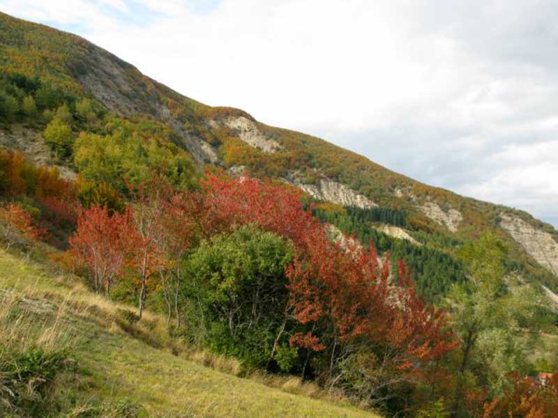 Autumn colors at the foot of Mt. Prampa