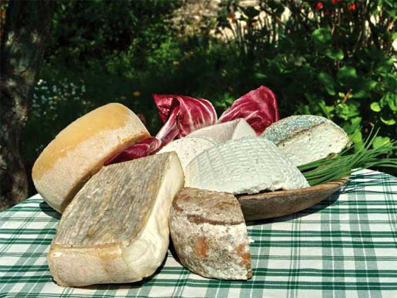 Country Cheese (Paesano)