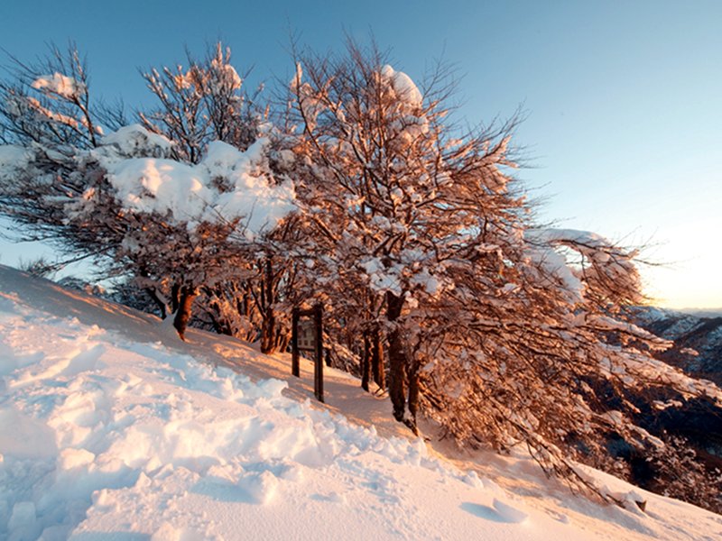 Winter am Monte Faiè