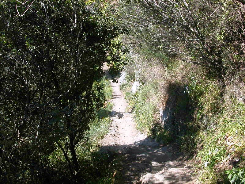 Sentier Corniglia Vernazza