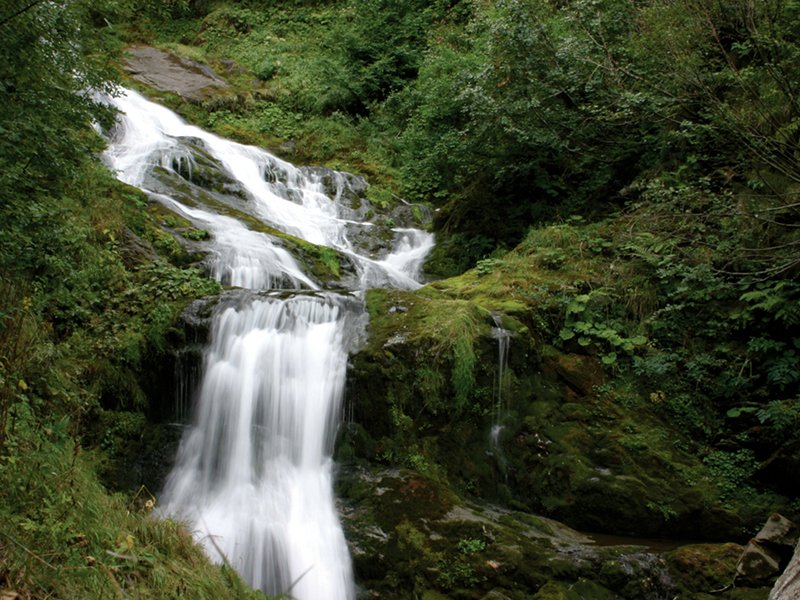 Saut Waterfall - Valle Pesio