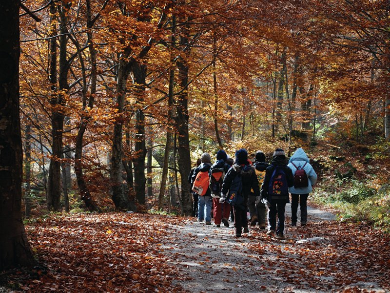 School group visiting the nature trail of the Park