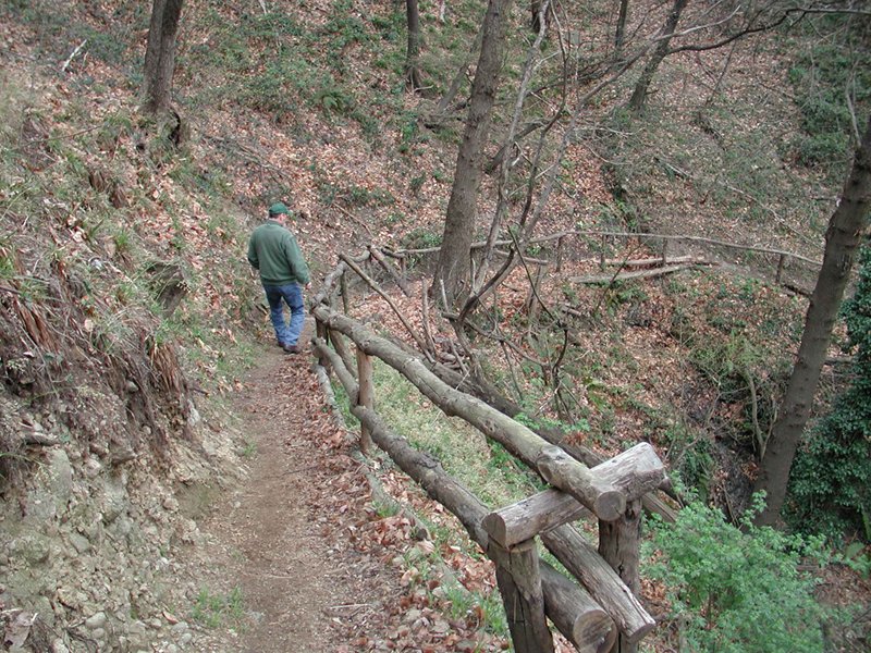 Trail no. 4 - Mt. Caprino