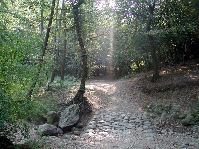 Trail no. 6 - Valbasca