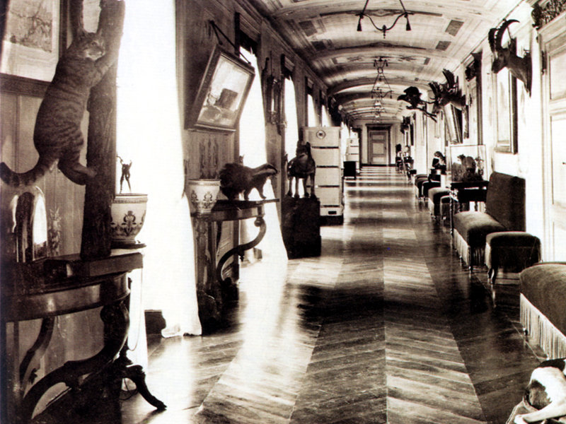 Corridor of the Birds, about 1930, black and white photograph